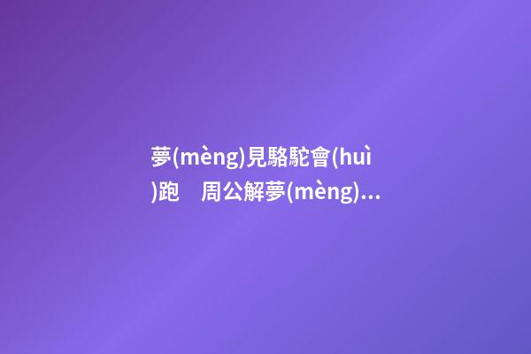 夢(mèng)見駱駝會(huì)跑　周公解夢(mèng)之夢(mèng)到駱駝會(huì)跑